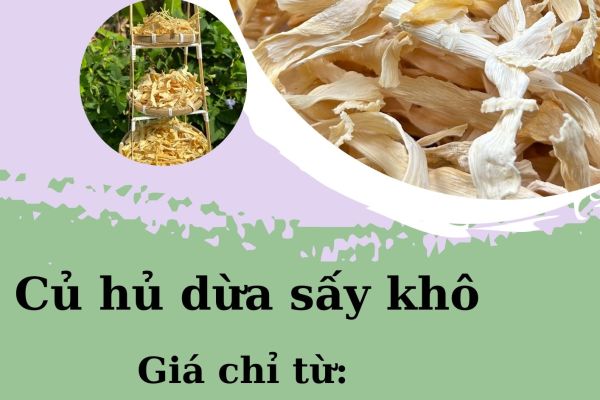 Củ hủ dừa sấy khô