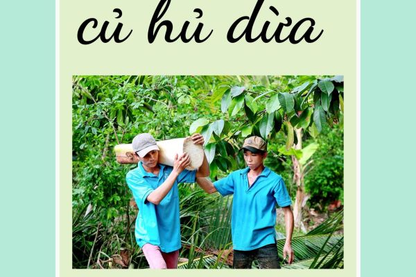 THU MUA CỦ HỦ DỪA