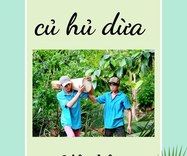 THU MUA CỦ HỦ DỪA