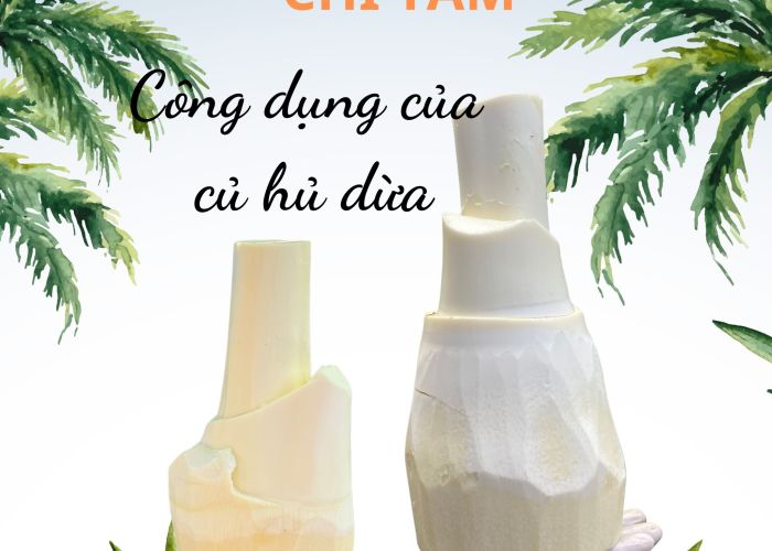 Công dụng của củ hủ dừa với sức khỏe