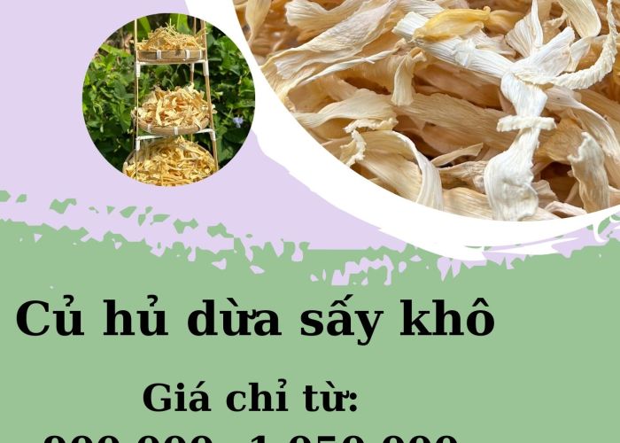 Củ hủ dừa sấy khô