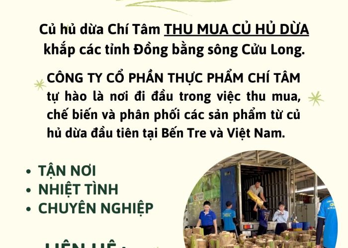 THU MUA CỦ HỦ DỪA