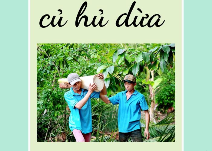 THU MUA CỦ HỦ DỪA