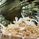 Củ hủ dừa sấy khô